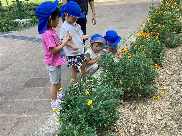 2025年11月1日(No.101)